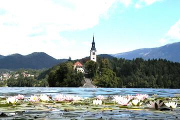 Photo 26