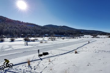 Snowshoeing