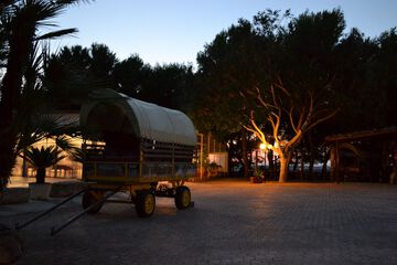 BBQ/picnic area
