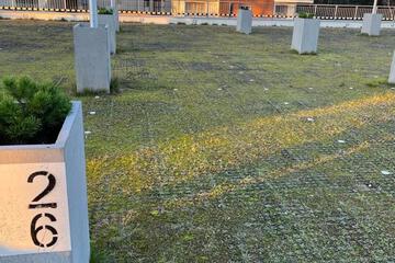 Photo 30