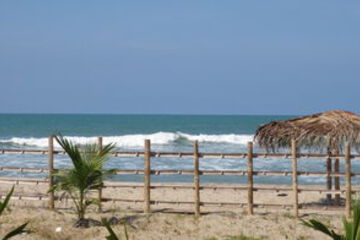 Beach or Ocean View