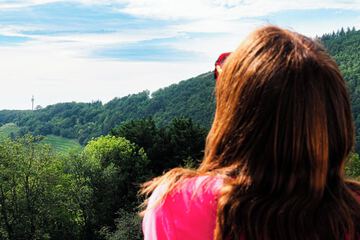Land view from property