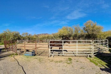 Horseback riding