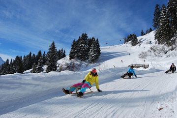 Sledding