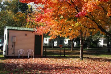 Check-in/check-out kiosk