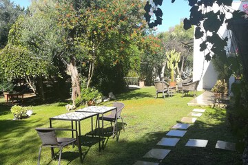 Photo 36