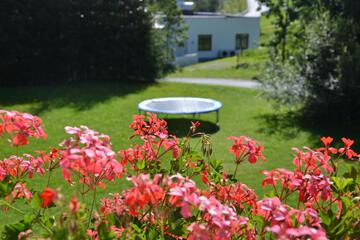 Photo 48