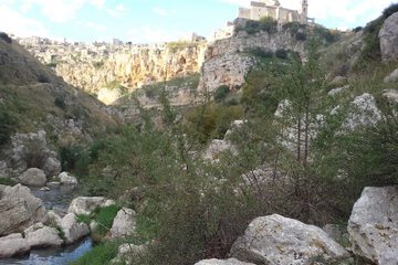 Ecotours