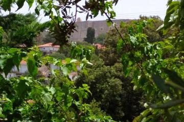Photo 72
