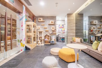 Pet-friendly amenities