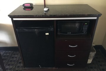 Mini-refrigerator