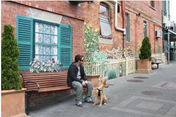 Photo 42