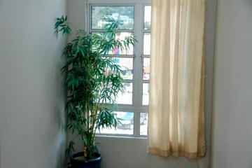 Photo 39