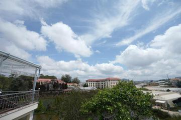 Photo 43