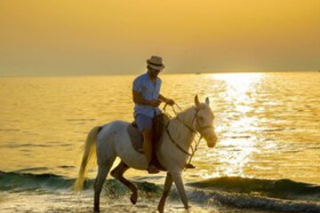 Horse Riding