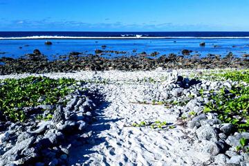 Photo 40