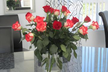 Photo 39