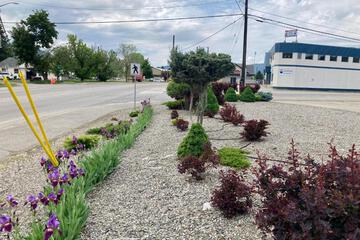 Photo 25