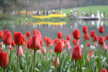 Nearby attraction