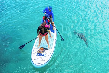 Children's activities