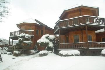 Photo 34