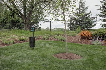 Pet-friendly amenities