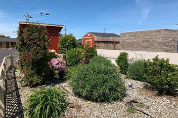 Photo 18
