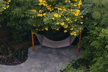 Garden view