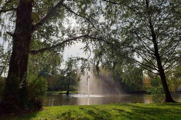 Photo 32