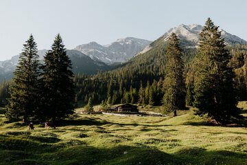 Hiking