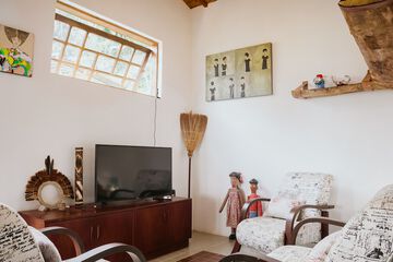 Television