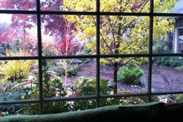 View from Hotel