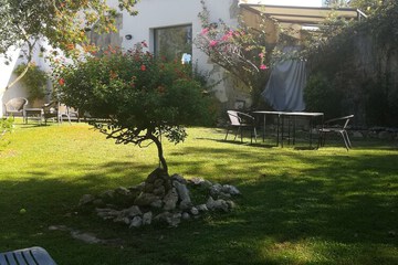 Photo 28