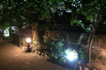 Photo 46