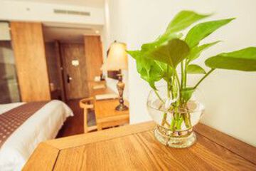 In-Room Amenity