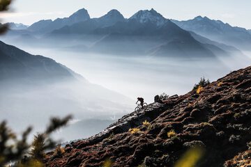 Bicycling