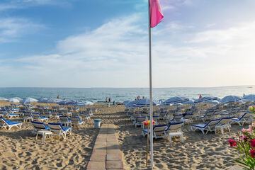 Beach bar