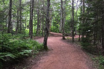Hiking