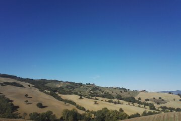 Land view from property