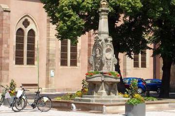 Ecotours