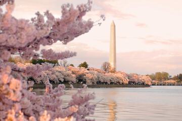 City view from property