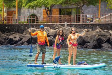 Children's activities