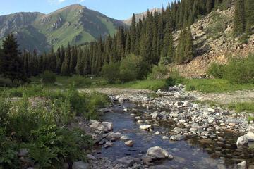 Photo 24