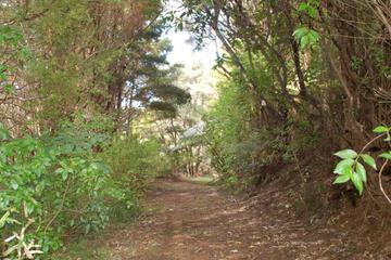 Photo 30
