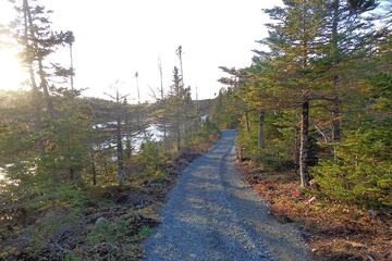 Hiking