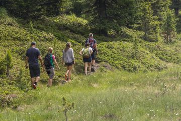 Hiking