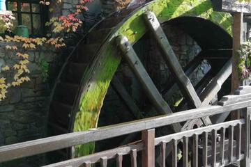 Photo 23