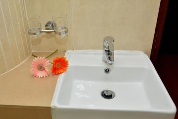 Bathroom sink
