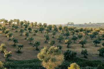 Land view from property