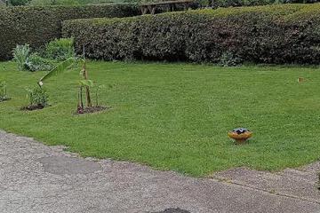 Photo 48